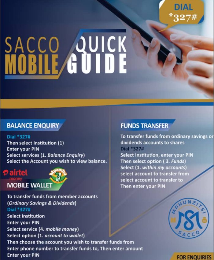 mobile banking guide